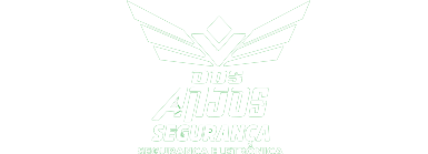 Dos Anjos Segurança Passo Fundo RS