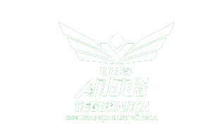 Dos Anjos Segurança Passo Fundo RS